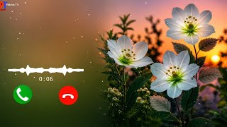 Download lagu Best Ringtone 2026 Hindi Ringtone New Song Ringtone Mobile Phone Ringtone Love Ringtone New Ringtone mp3