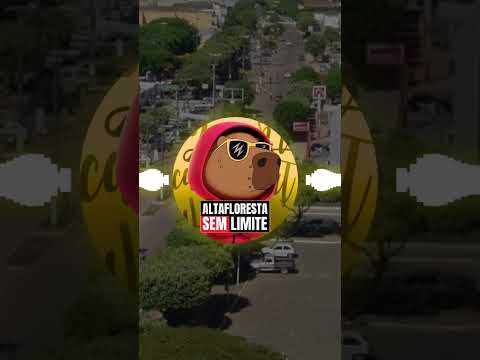 Alta Floresta-MT Alta Floresta Sem Limite Música Oficial @AltaflorestaSemlimiteof