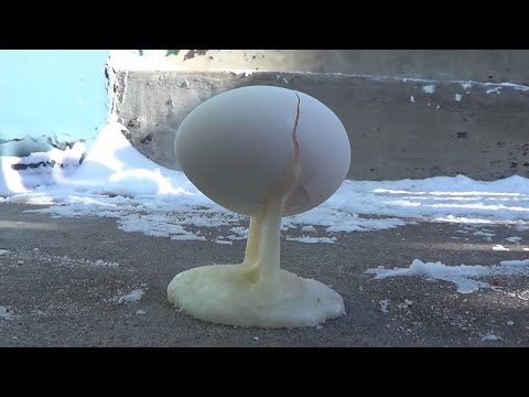 Freezing Eggs In Minnesota