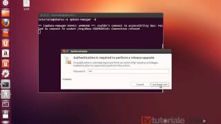 Ubuntu 12.10 la Ubuntu 13.04 update din terminal
