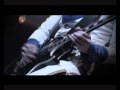Riggzario - Chrome Shelled 
