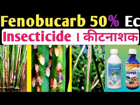 Blast Fenobucarb (Bpmc) 50% EC Insecticide
