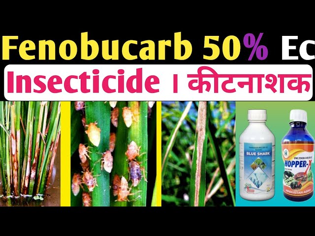 Agriculture Insecticide Manufacturer in Delhi NCR - Fugatox-10G ...