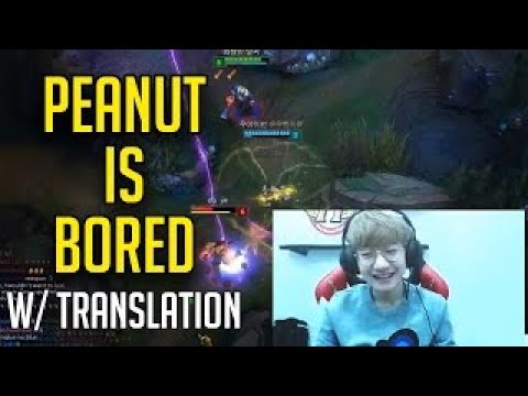 Jungle is Boring w/ TRANSLATION Peanut Stream Highlights Translated