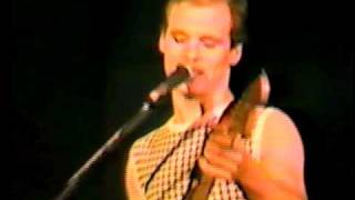 See Spot Run NFLD 1.mov