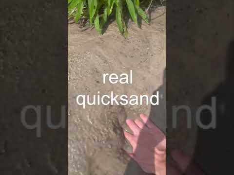 Real Quicksand