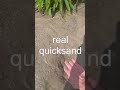 I found￼ Real Quicksand