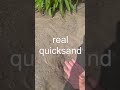 Real Quicksand
