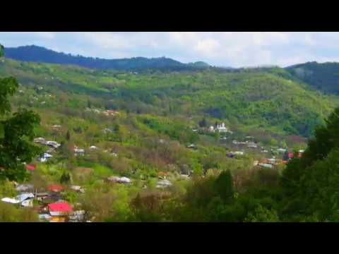 Welcome to Aricestii Zeletin