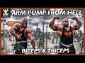 ARM PUMP FROM HELL | Biceps & Triceps