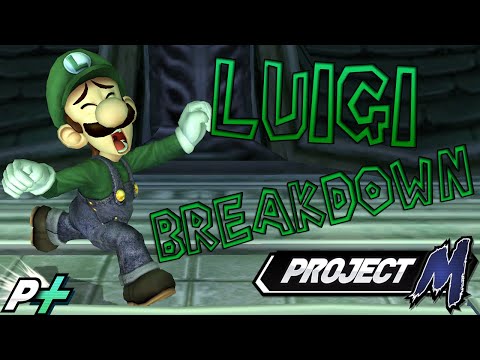 Meet The Smash Brothers: Is Luigi For You? - Project M