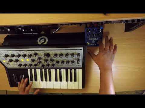 Moog Sub Phatty+ Meris Mercury7, New Favorite Reverb!