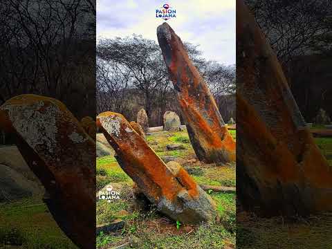 Quilluzara-Celica-Loja