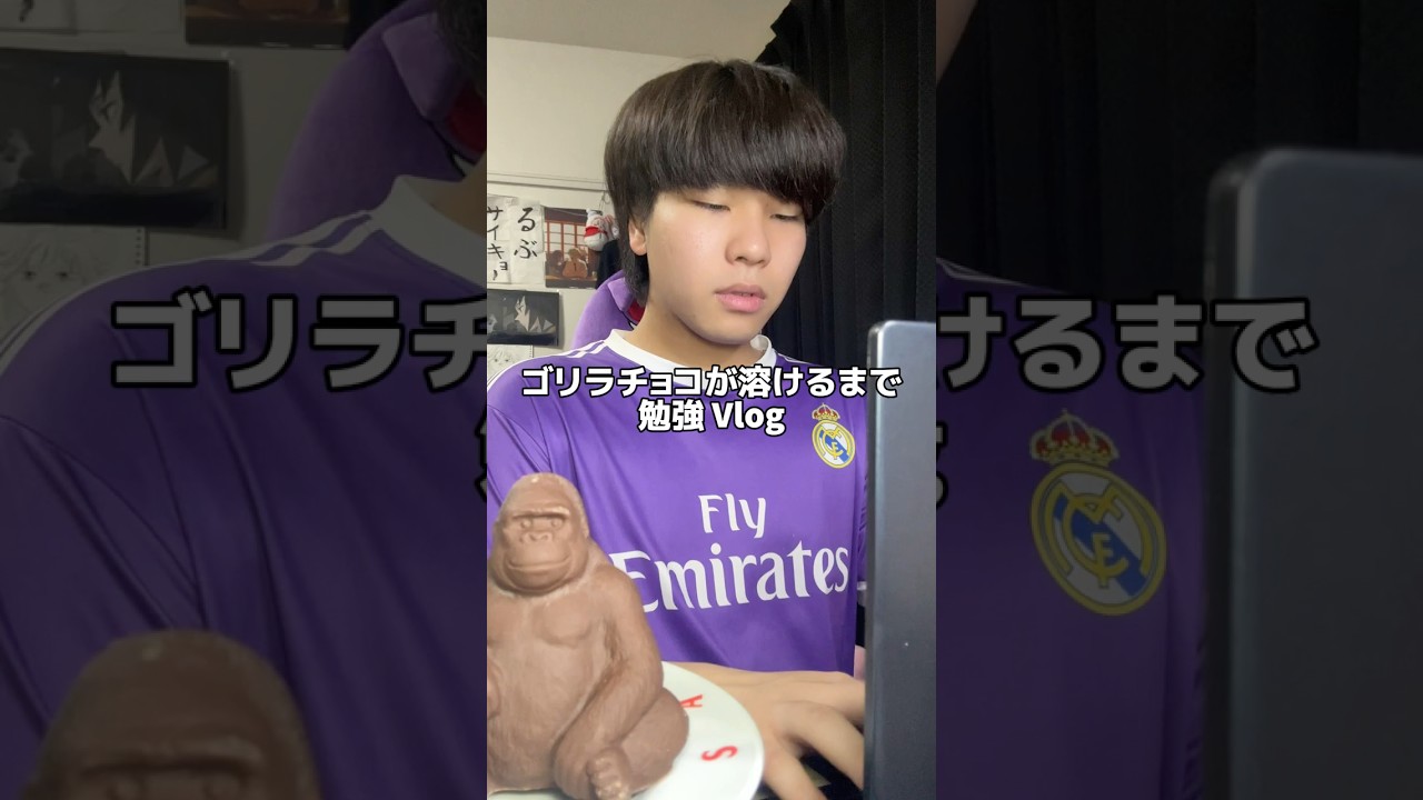 勉強垢に憧れた人の末路wwwゴリラ🦍のチョコ🍫が溶けるまでやってみたけど別れが辛かった😭