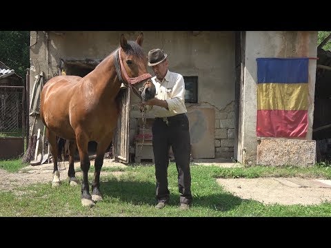 In vizita la domnu Dumitru de la Luna de sus, Cluj 19 Iunie 2018