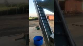 Triturador 300mm Motor De 7,5 CV - Vídeo