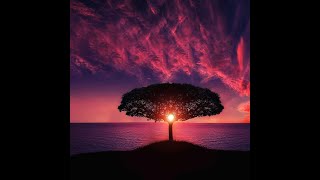 Download lagu Senja kini berganti malam mp3 Download lagu Senja kini berganti malam mp3