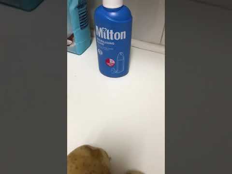 Fermented Potato Peelings. Home Brewing. Poor mans Vodka.