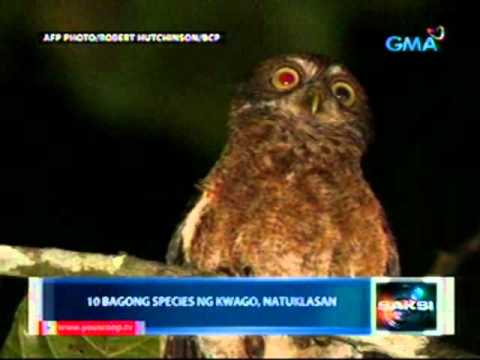 Libre vidio pumayat Pagkain sa proseso ng pagkawala ng timbang