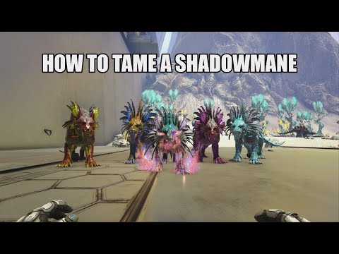 HOW TO TAME SHADOWMANES (NET META)