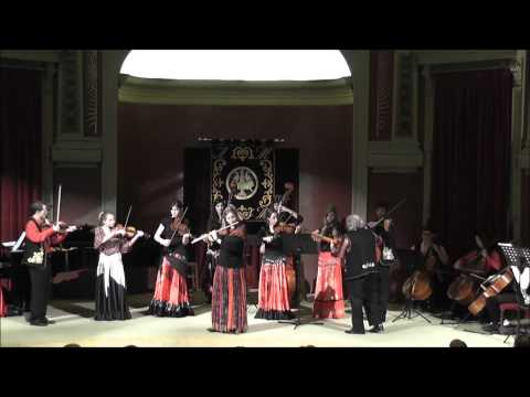 Violons Tziganes - Mon amour, ma fleur