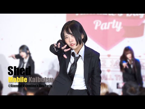 [20220212][4K][Mobile Focus] Shed - Kaibutsu @ Siamdol Valentine's day Party