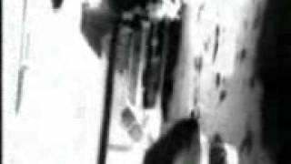 ESHAM HELTER SKELTER.(secta flava)