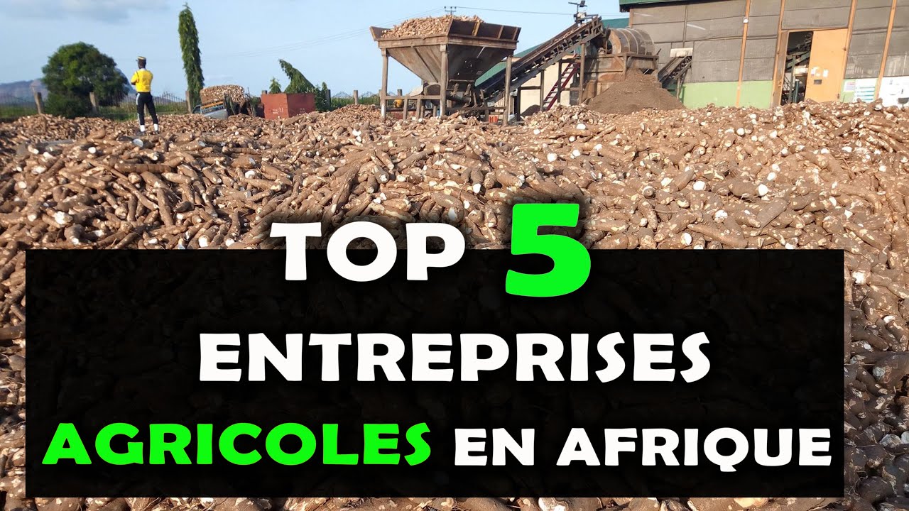 AGRICULTURE: Voici les 05 Entreprises Agricoles les plus puissantes et influentes en Afrique