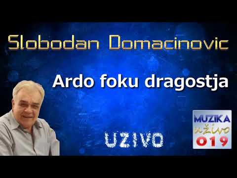 Slobodan Domacinovic - Ardo foku dragostja UZIVO // MuzikaUzivo019