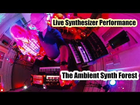 The Ambient Synth Forest (ARP 2600, Minimoog, Roland JD-Xi, Continuum, Microbrute, Strymon)