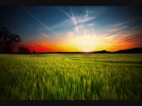 Oen Bearen - Feelings Shore