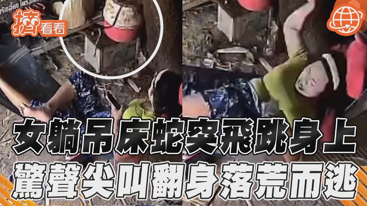 影音／泰女驚聲尖叫！躺吊床蛇突飛跳身上　嚇到翻身落荒而逃