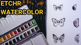 Perfect Watercolours For This Project, First Impressions Of Etchr 24 Half Pan Set