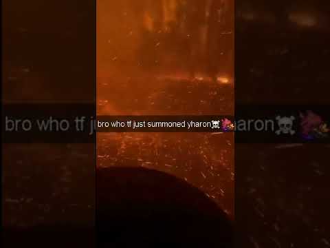 Who summoned yharon 💀🔥 #calamitymod #terraria #memes