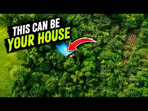 Essential Tips to Consider Before Purchasing Land