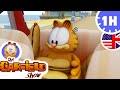 Garfield LOVES Food New Selection