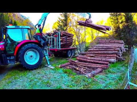 Forsttechnik: 🌲Holztransport mit MF 5445, Holzkran Lasco/Riener;