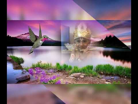 Sricharan S  Birthday songs