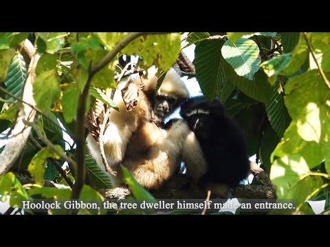 Changlang District Tourism 2024