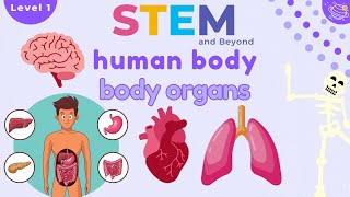 Download lagu Organ Tubuh Manusia | Sains untuk Anak | Pembelajaran di Rumah STEM mp3 Download lagu Organ Tubuh Manusia | Sains untuk Anak | Pembelajaran di Rumah STEM mp3