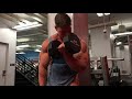 Alternating bicep curls (arm blaster)