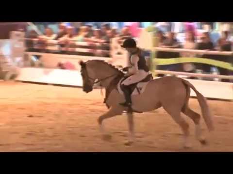 Altmarkhofs Quasi Gold MD beim Schaufenster der Besten in Neustadt