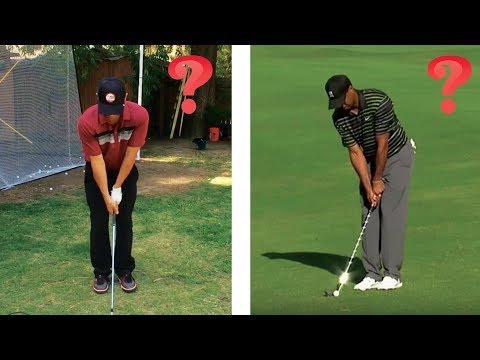 Is Tiger Right?