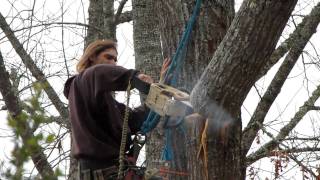 preview picture of video 'A Lumberjack Tree Climber'