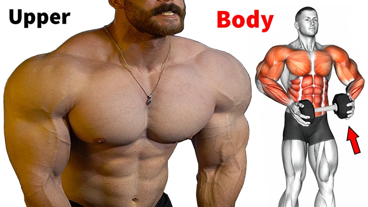 Best 26 Effective Exercises To Build Your Upper Body At Home - YouTube