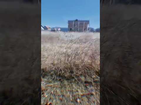 Teren intravilan de vanzare, Sanpetru, 700 mp. — Video