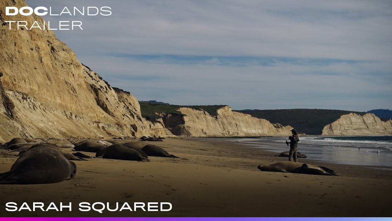 Sarah Squared: Overview, Where to Watch Online & more 1