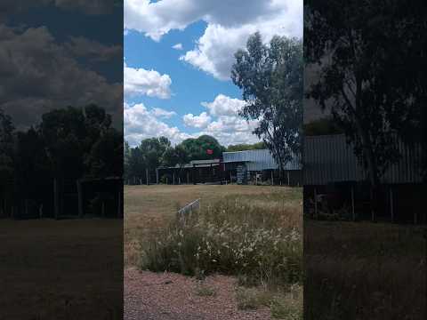 Chacras de Belén , departamento de Salto , Uruguay . Videitos cultura uruguaya 🇺🇾 .