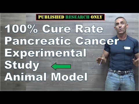 100% Cure Rate Pancreatic Cancer Experimental Study Animal Model - Vimarsana News