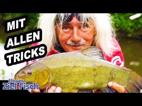 THIS TIME SHE'S HANGING - BILL TO SETTLE with LARGE TENCH - Our goal is fish FISHING SCHOOL JÖRG ...